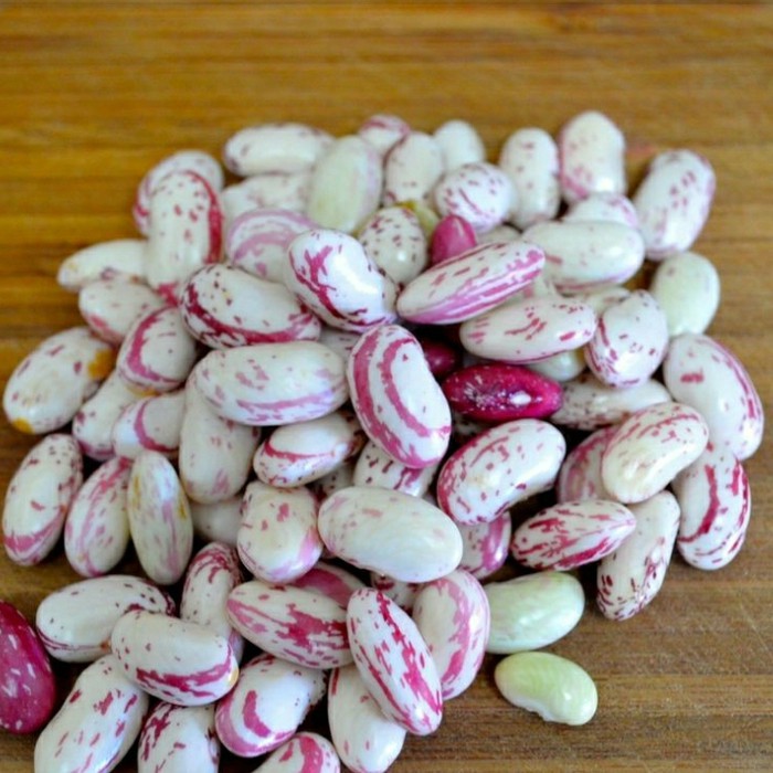 Jual Kacang Endul Putih Bandung | Shopee Indonesia