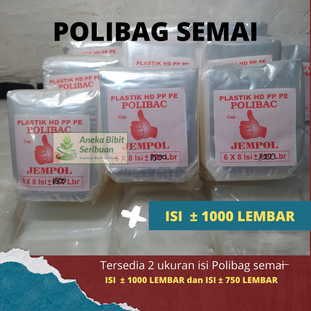 Jual Lembar Polibag Semai Cabe Polybag Semai Benih Polibag