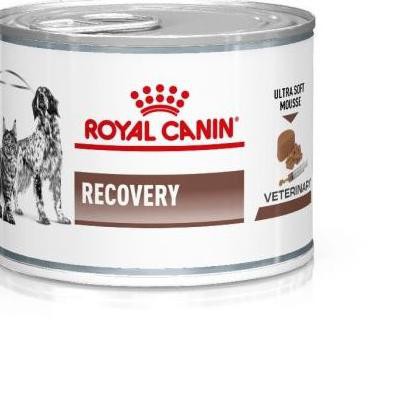 Royal canin recovery harga store