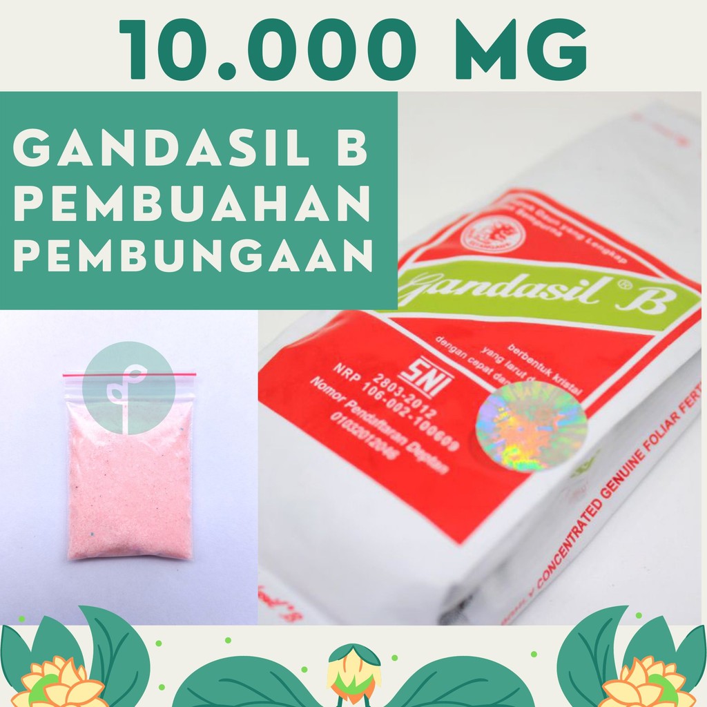 Jual Pupuk Gandasil B Buah NPK 6-20-30 Majemuk Generatif Nutrisi ...