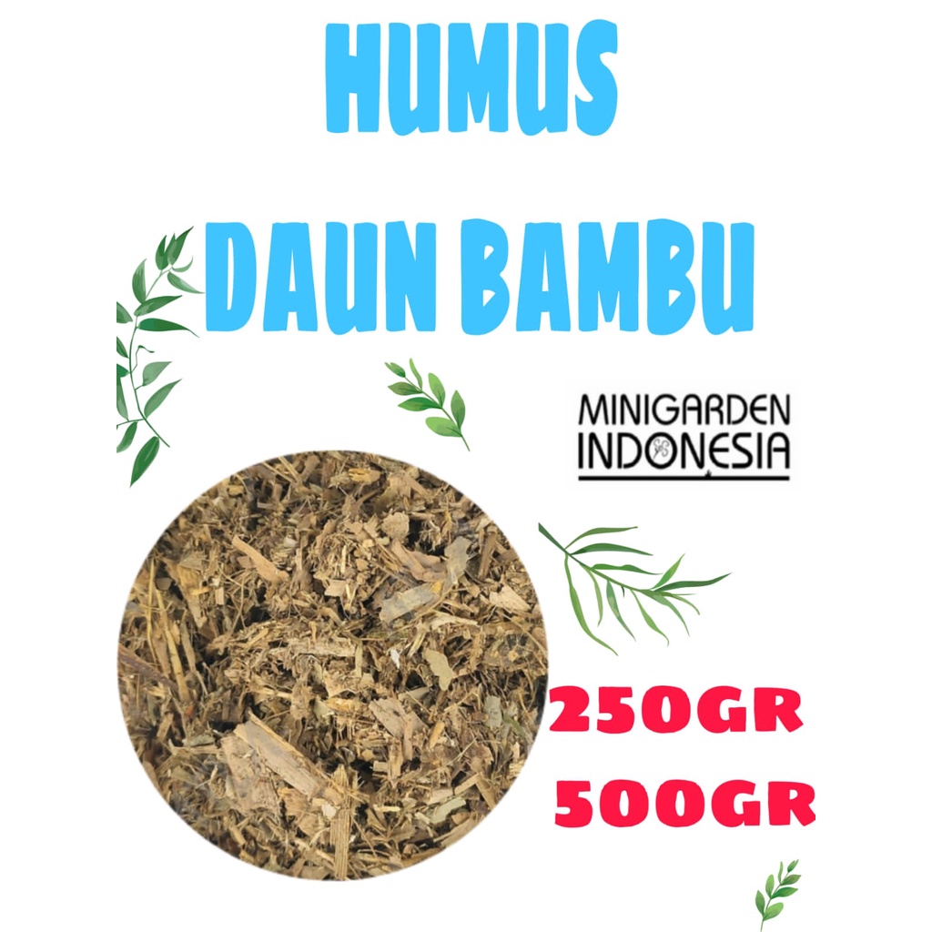 Jual HUMUS DAUN BAMBU MEDIA TANAM AGLONEMA SUPLIR CACAHAN DAUN KERING ...