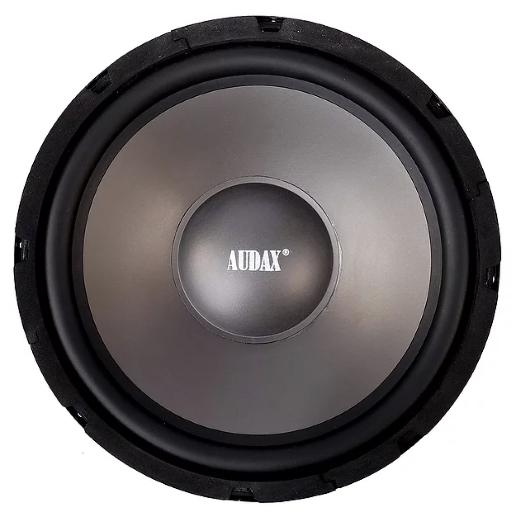 Audax 10 sales inch woofer