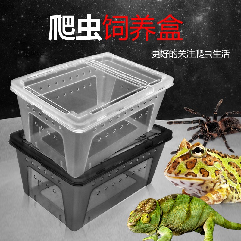 Jual Breeding Box Reptile Box Kandang Tarantula Enclosure Feeding Box ...