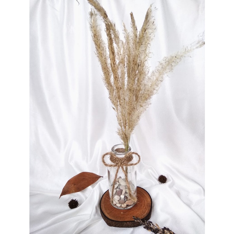 Jual 1 Set Bunga Aesthetic Mini Dried Flowers- 1 set bunga kering ...