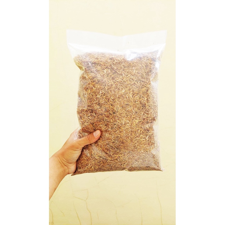 Media Tanam Sekam Mentah Organik 500 Gram Siap Pakai Pupuk Gabah Padi Untuk Tanaman Bisa Bayar Di Tempat
