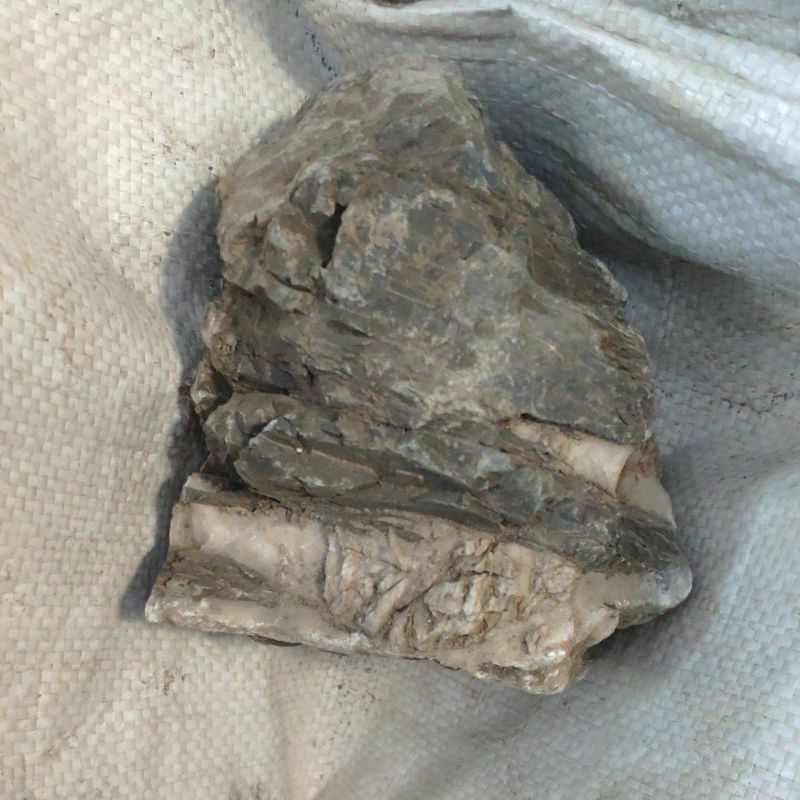 Jual Batu Turly Aquascape per 1kg | Shopee Indonesia