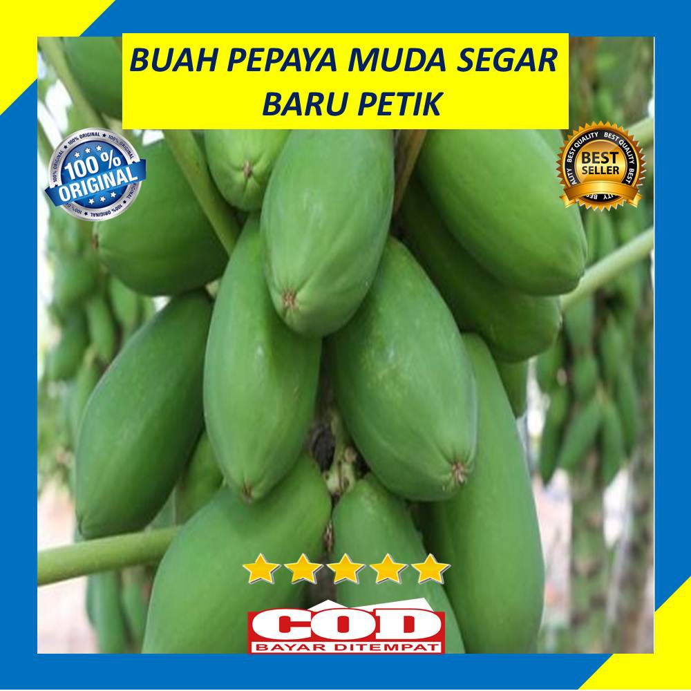 Jual Buah Pepaya Muda Segar 800 Gram Per Buah Shopee Indonesia