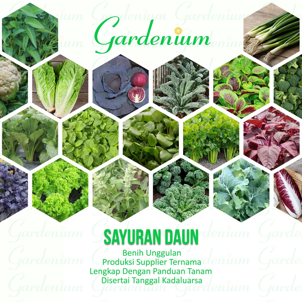 Macam Macam Benih Sayuran Daun Paktani , Arugula Basil Bayam Brokoli Kale Coriander Sawi Selada Seledri Kangkung dll