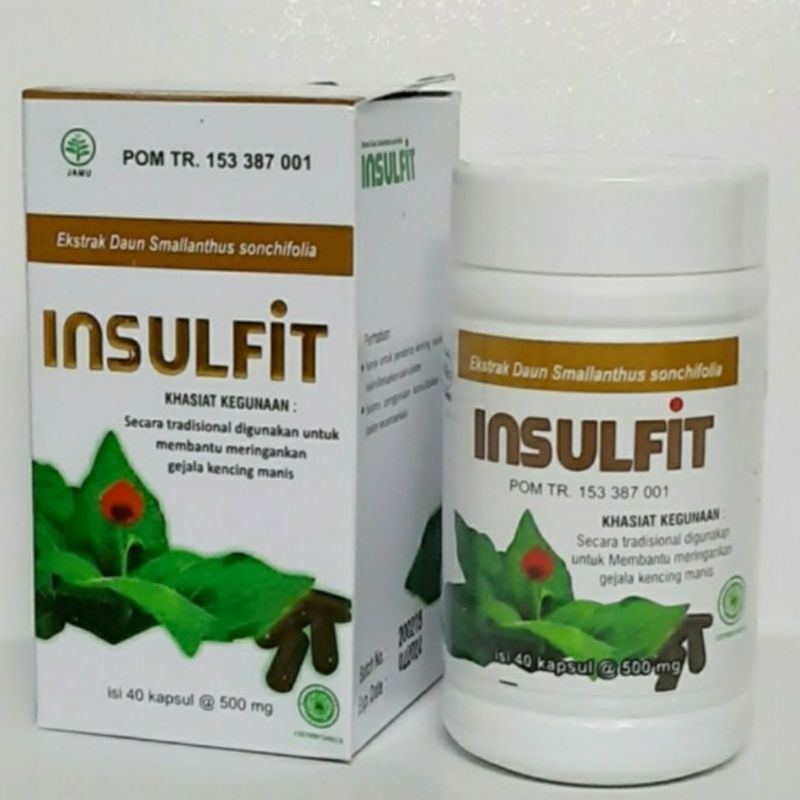 Jual Kapsul Insulfit Ekstrak Daun Insulin Obat Herbal Diabetes Isi