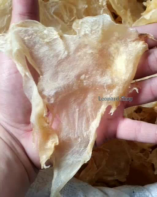 Jual HIPIO KAKAP MERAH KERING BESAR SUPER BIASA DIPAKAI DI RESTORAN ...