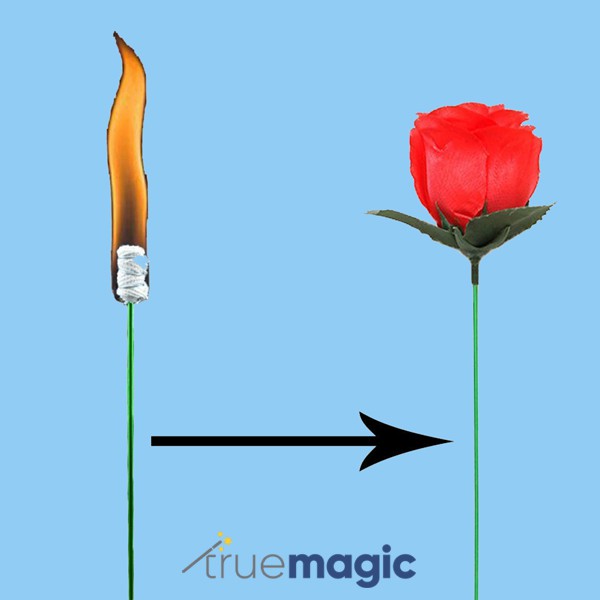 Torch to Rose (Alat Sulap Bunga Mawar Api)
