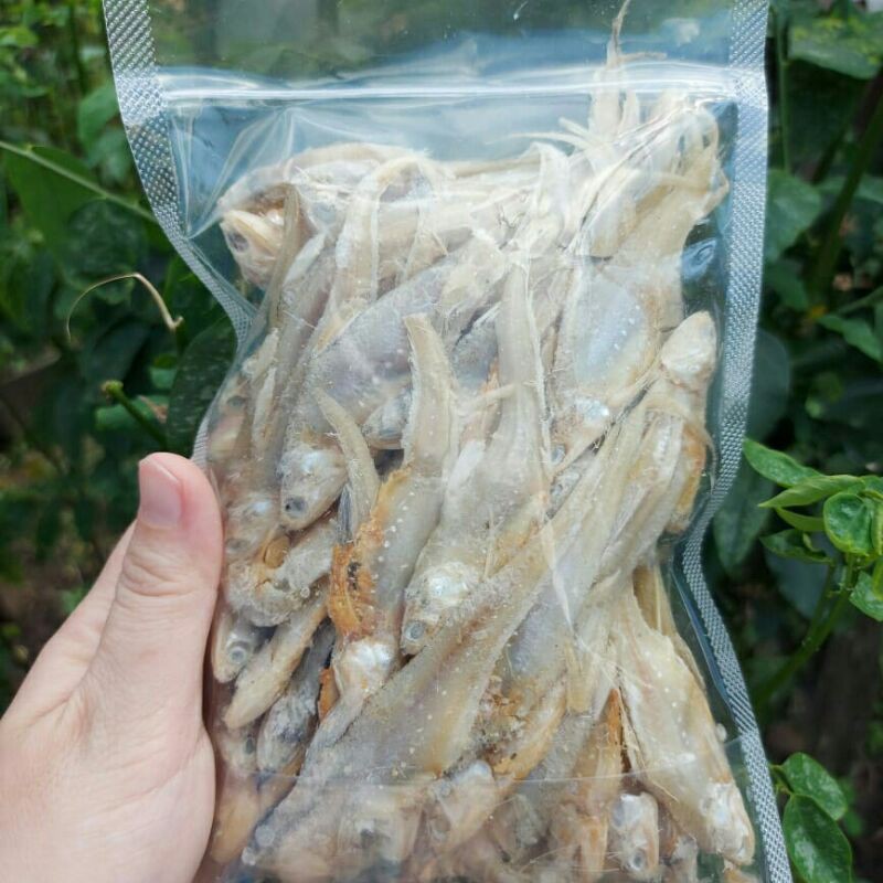 Jual ikan asin bulu ayam kalimantan | Shopee Indonesia
