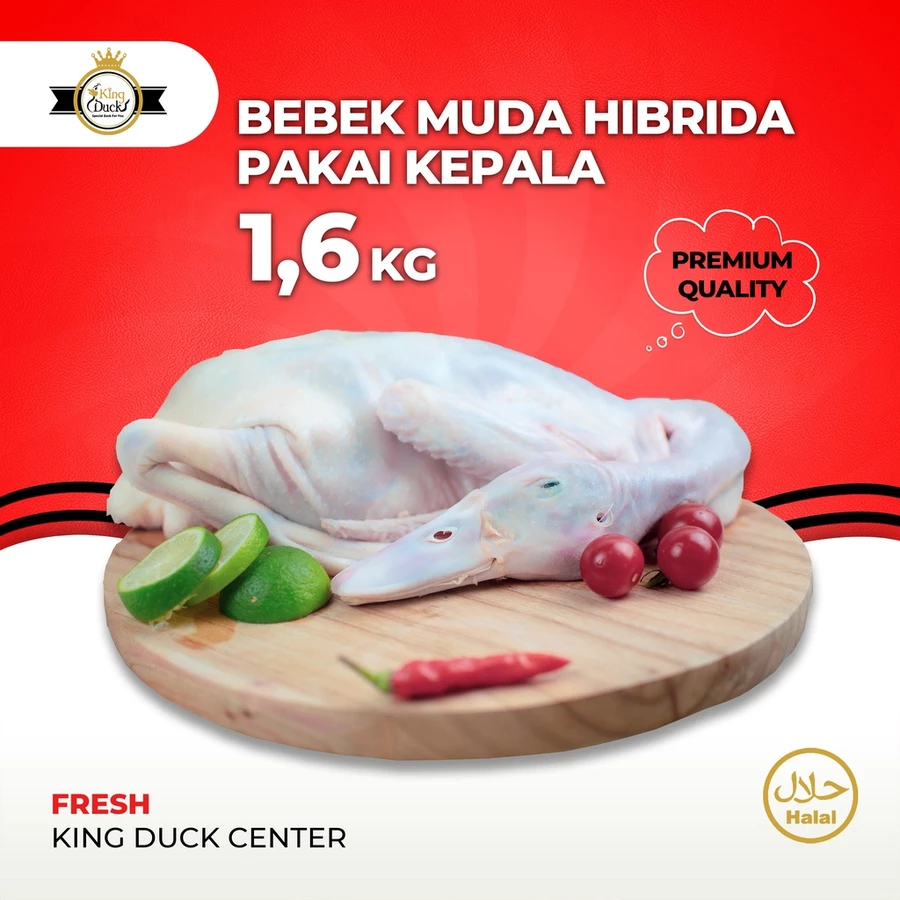 BEBEK HIBRIDA / DAGING BEBEK 1,6-2,0 KG UTUH PAKAI KEPALA KAKI