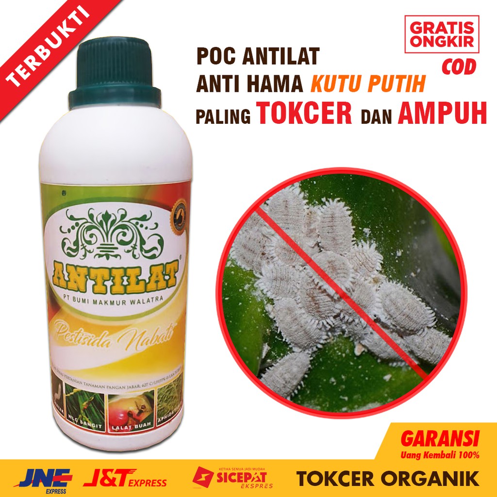 Jual Insektisida Pestisida Organik Obat Hama Antilat Pembasmi Kutu Putih Pada Semua Tanaman 0239