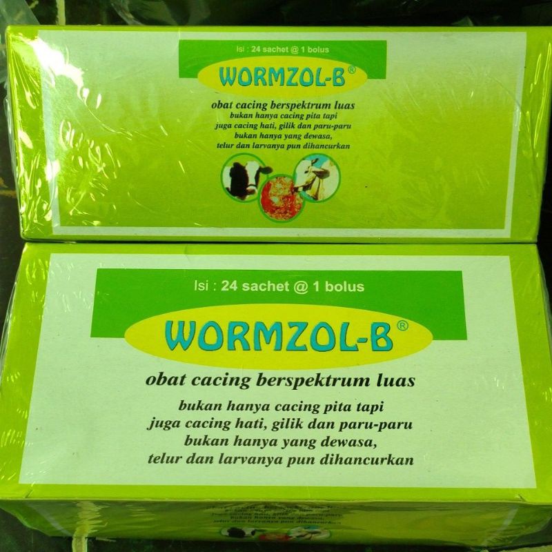 Jual Wormzol-B Box (isi 24 Bolus) | Shopee Indonesia