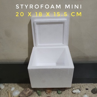 Styrofoam Box Mini 20x18x15 Cm