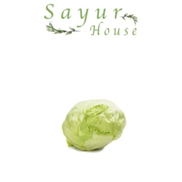 Jual Head Lettuce/Iceberg Lettuce (Per 1 kg) Shopee Indonesia