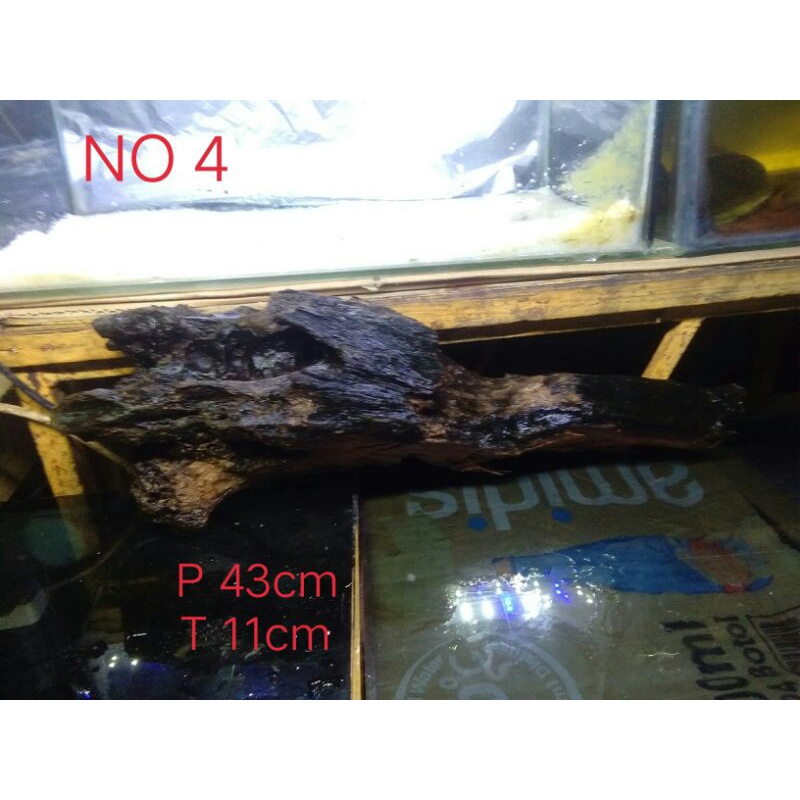 Jual akar rentek size L ( full tenggelam) | Shopee Indonesia