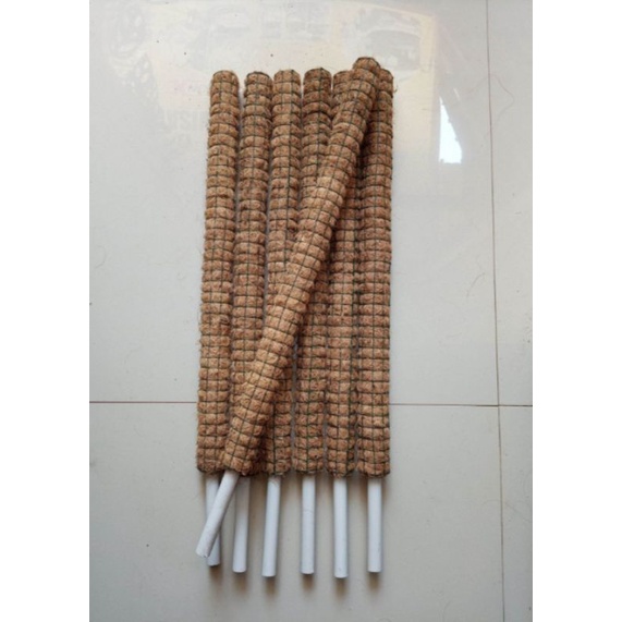 Jual turus tanaman rambatan ukuran 50cm | Shopee Indonesia