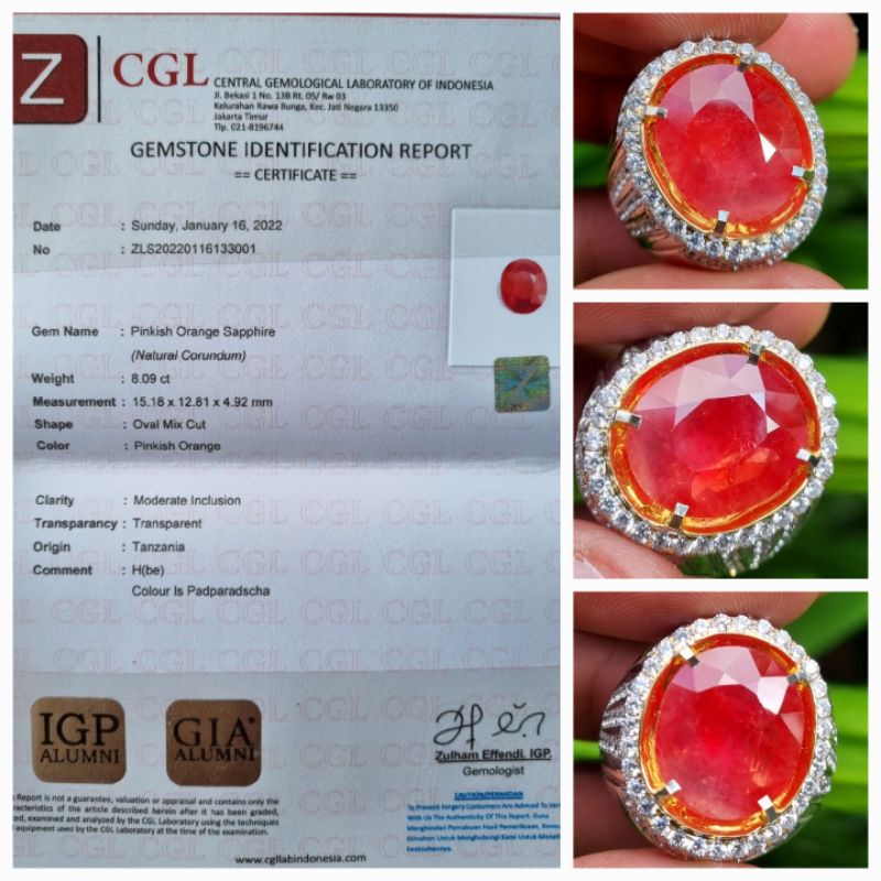 Jual Natural Pinkish Orange Sapphire Padparadscha Color Sertifikat 8.09 ...