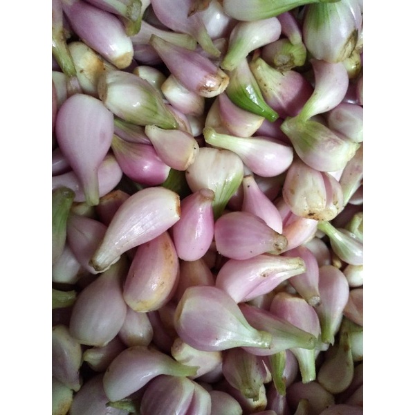 Jual Bawang Merah Sumenep 1kg Super Kupas Tidak Dikupas Shopee