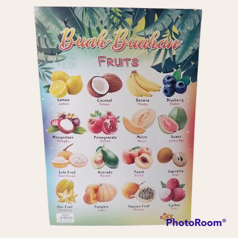 Jual Poster Buah Buahan Fruits Shopee Indonesia