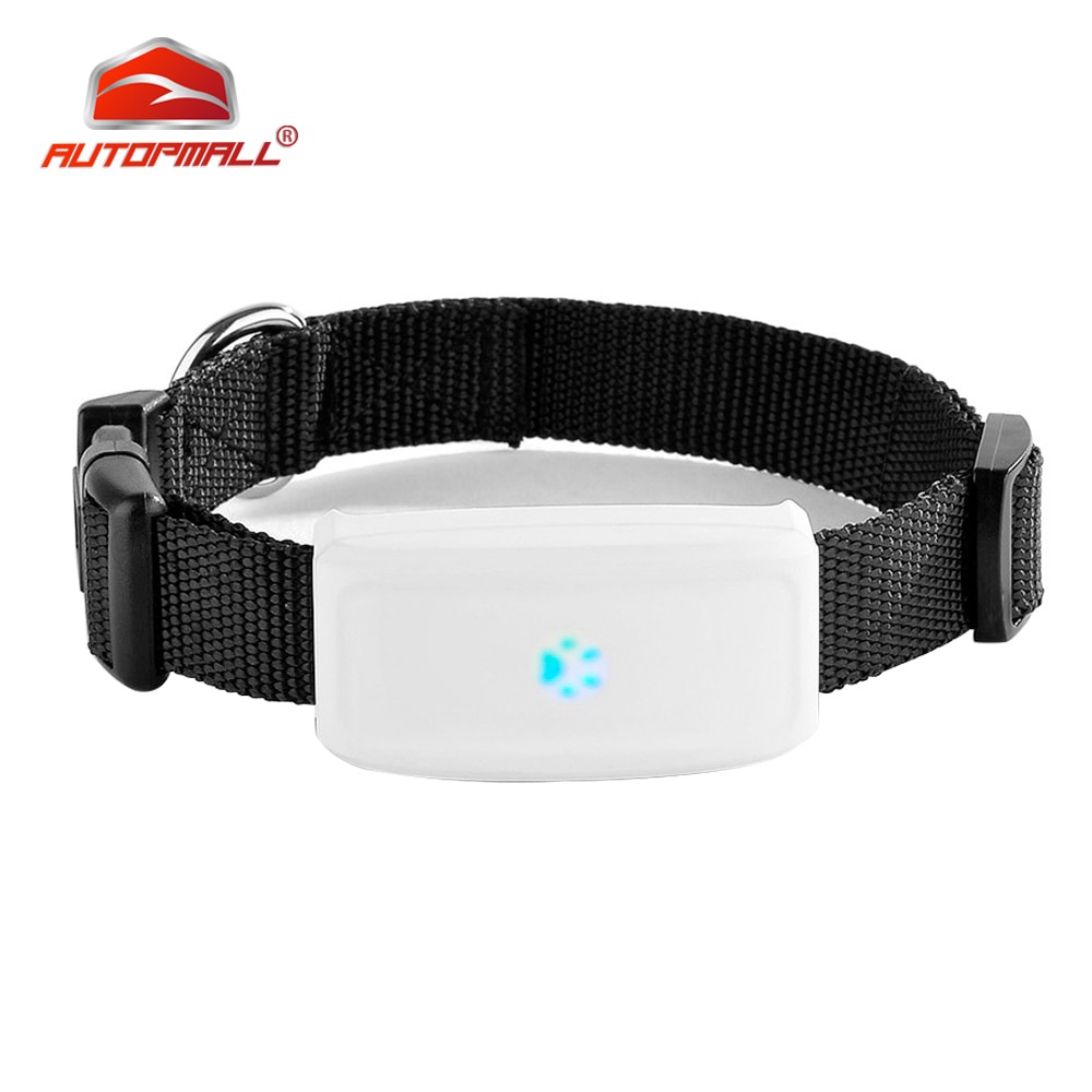Jual PREORDER Mini Pet GPS Tracker Dog Cat GPS Collar TKSTAR TK911