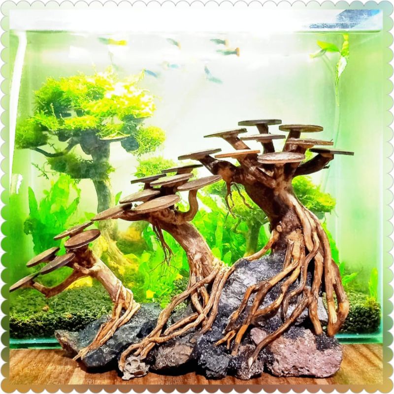 Jual BONSAI AQUASCAPE 3PLAY /HARDSCAPE/UNTUK UKURAN TANK 40cm sampai