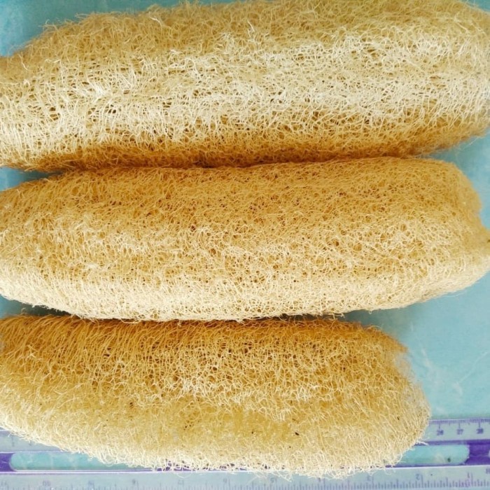 Jual Loofah Sabut Sponge Alami Shopee Indonesia