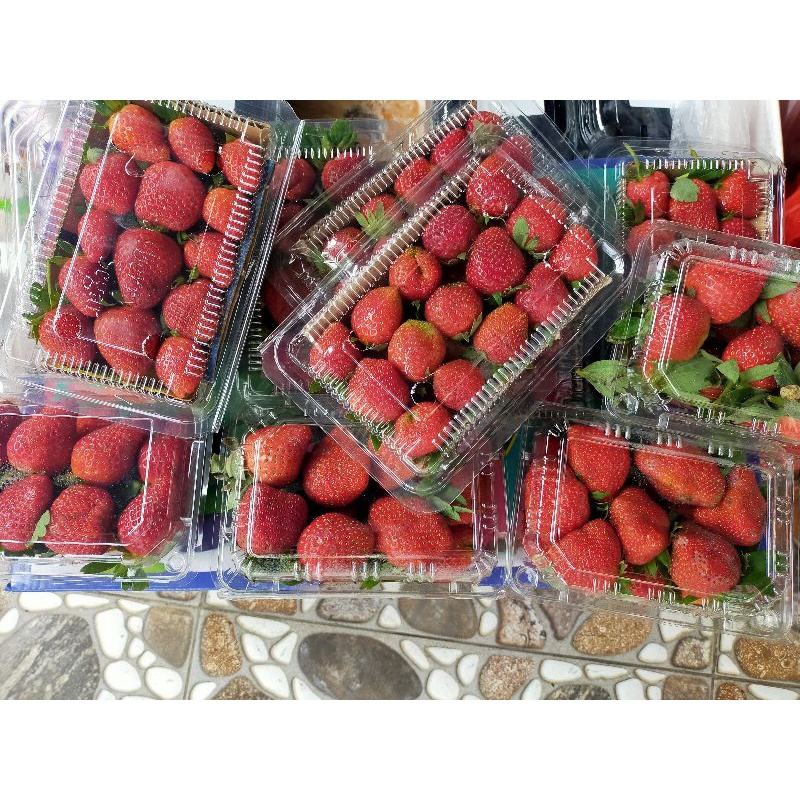 Jual Buah Strawberry PILIHAN Segar Ciweday (bandung) Per 125 Gr (ECERAN ...