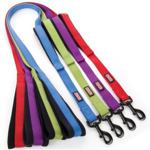 Kong padded handle hot sale hands free leash