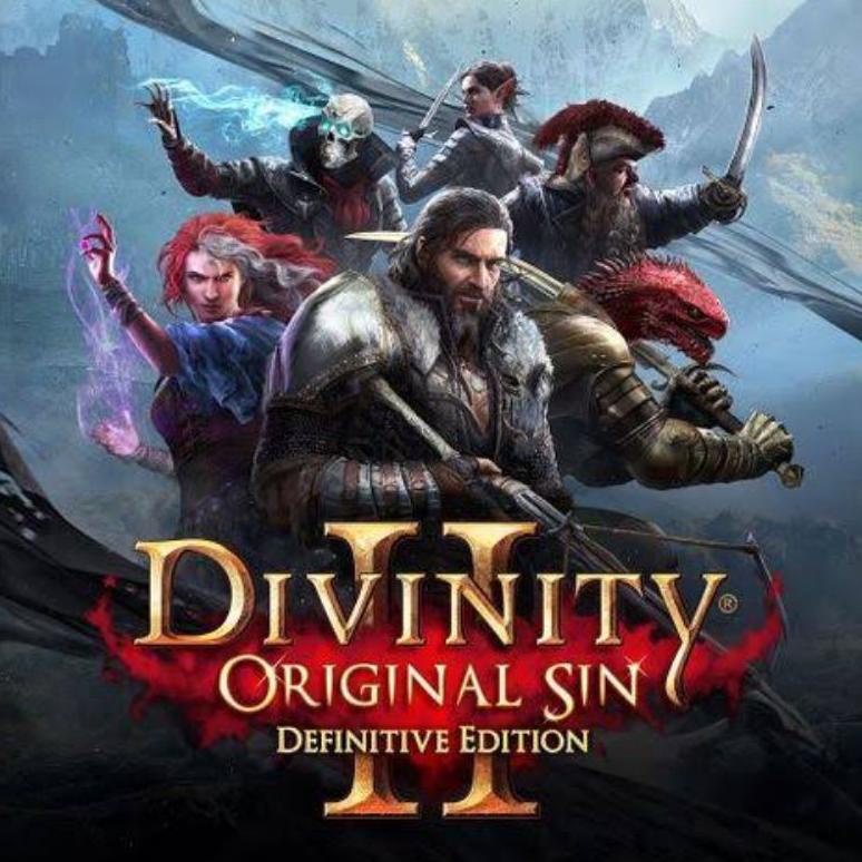 Jual Divinity: Original Sin 2 - Definitive Edition Nintendo Switch ...