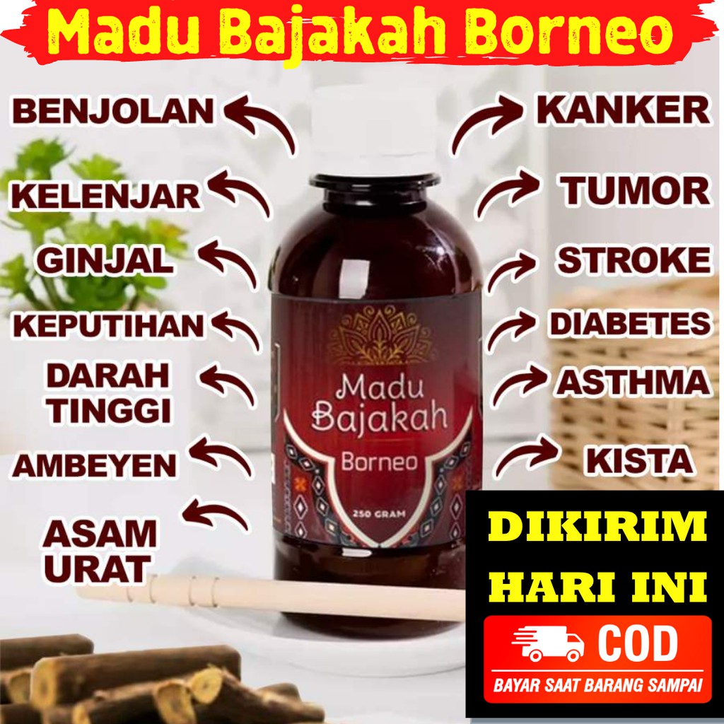 Jual Madu Bajakah Borneo Asli Original Herbal Bajakah Kalimantan Asli Indonesia Untuk Kanker Dan 4438