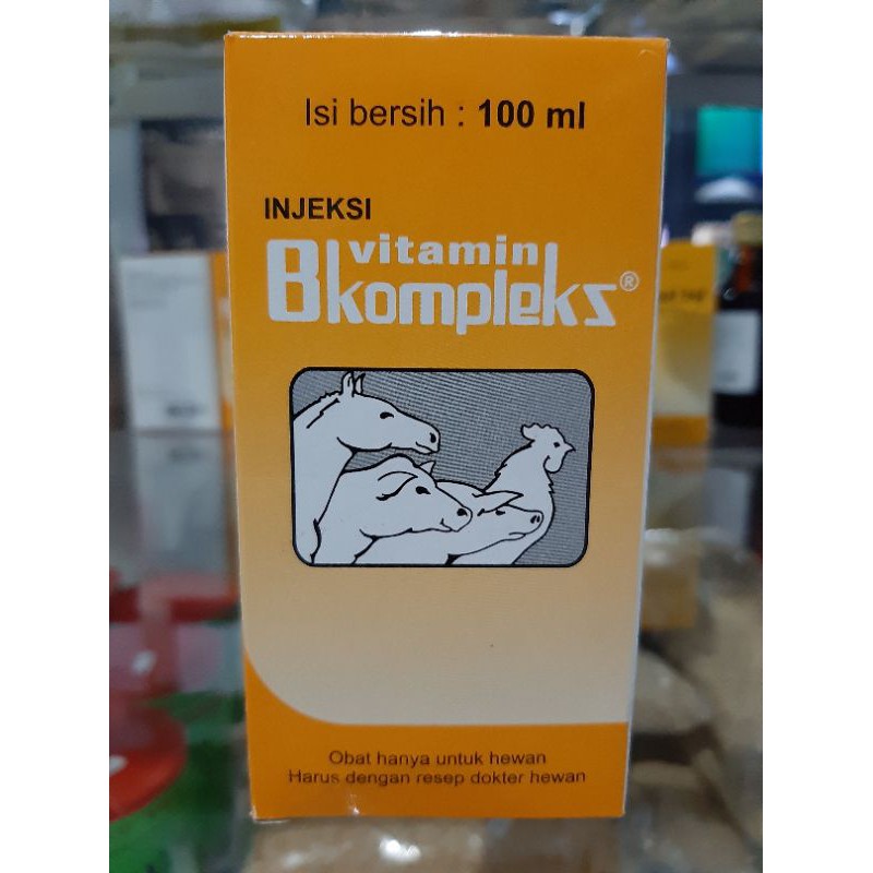 Jual INJEKSI VITAMIN B KOMPLEKS 100 ML | Shopee Indonesia