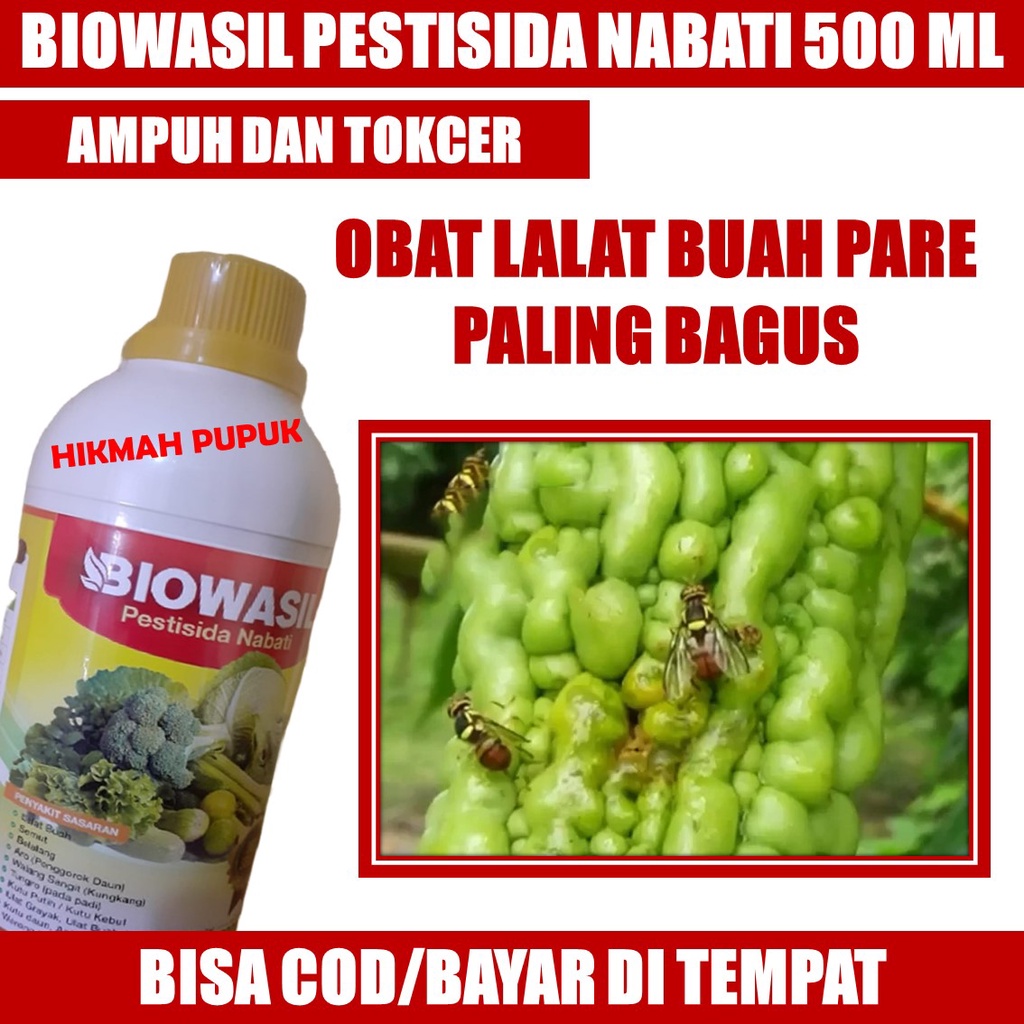 Jual Obat Lalat Buah Pare Paling Manjur Biowasil Isi 500 Ml Obat Pengendali Hama Lalat Buah 9696