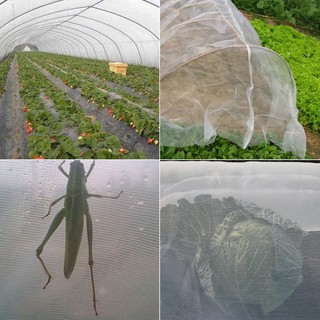 Jual Insect Net Green House Hidroponik Putih Mesh 50 Lebar 2 Meter Panjang 100 Meter 1 Roll