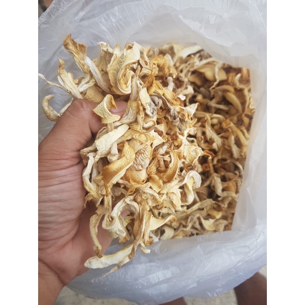 Jual JAMUR TIRAM KERING Shopee Indonesia