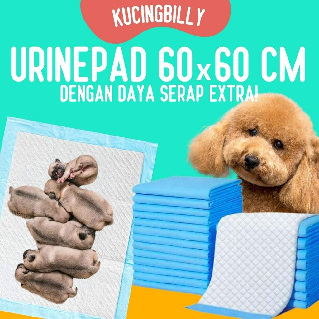 Jual Alas Pipis Training Pad Perlak Kucing Anjing - 60x60 BESAR ...