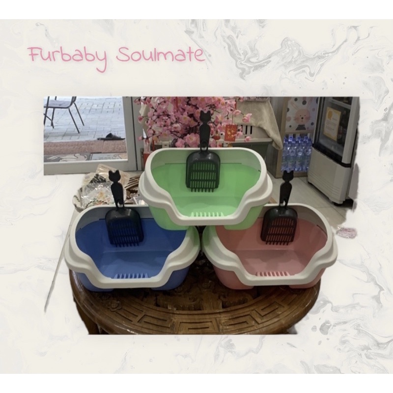 Jual Kitten Litter Box Bak Pasir Kitten+Sekop Shopee Indonesia