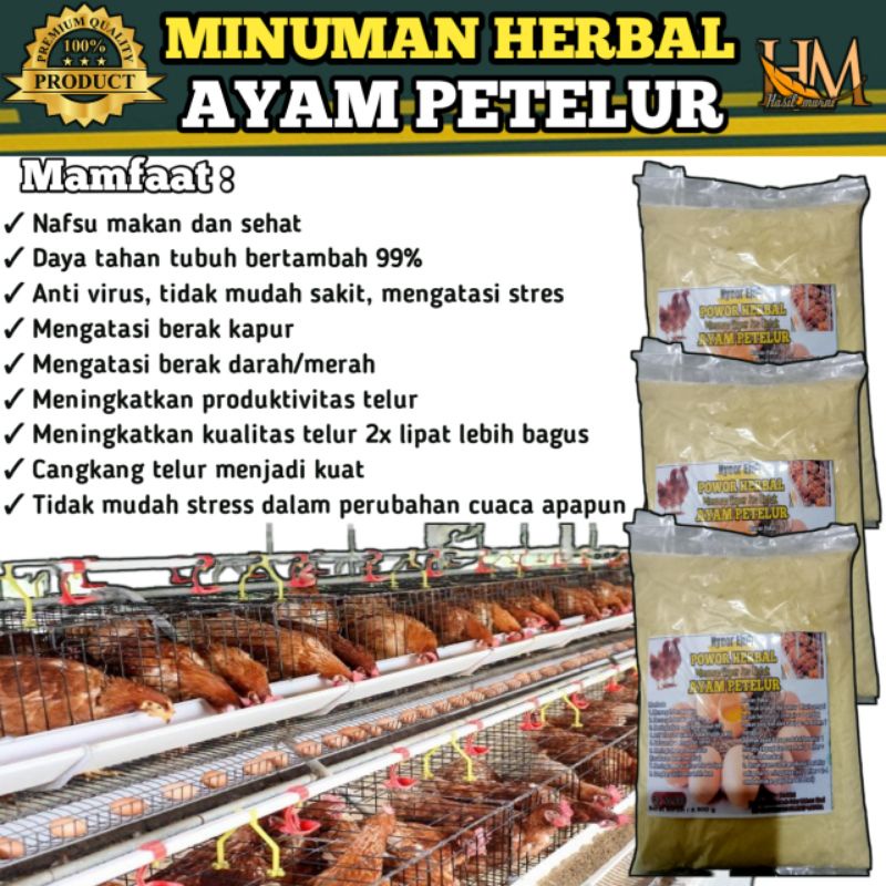 Jual Minuman Herbal Ayam Petelur Suplemen Vitamin Ayam Petelur Jamu