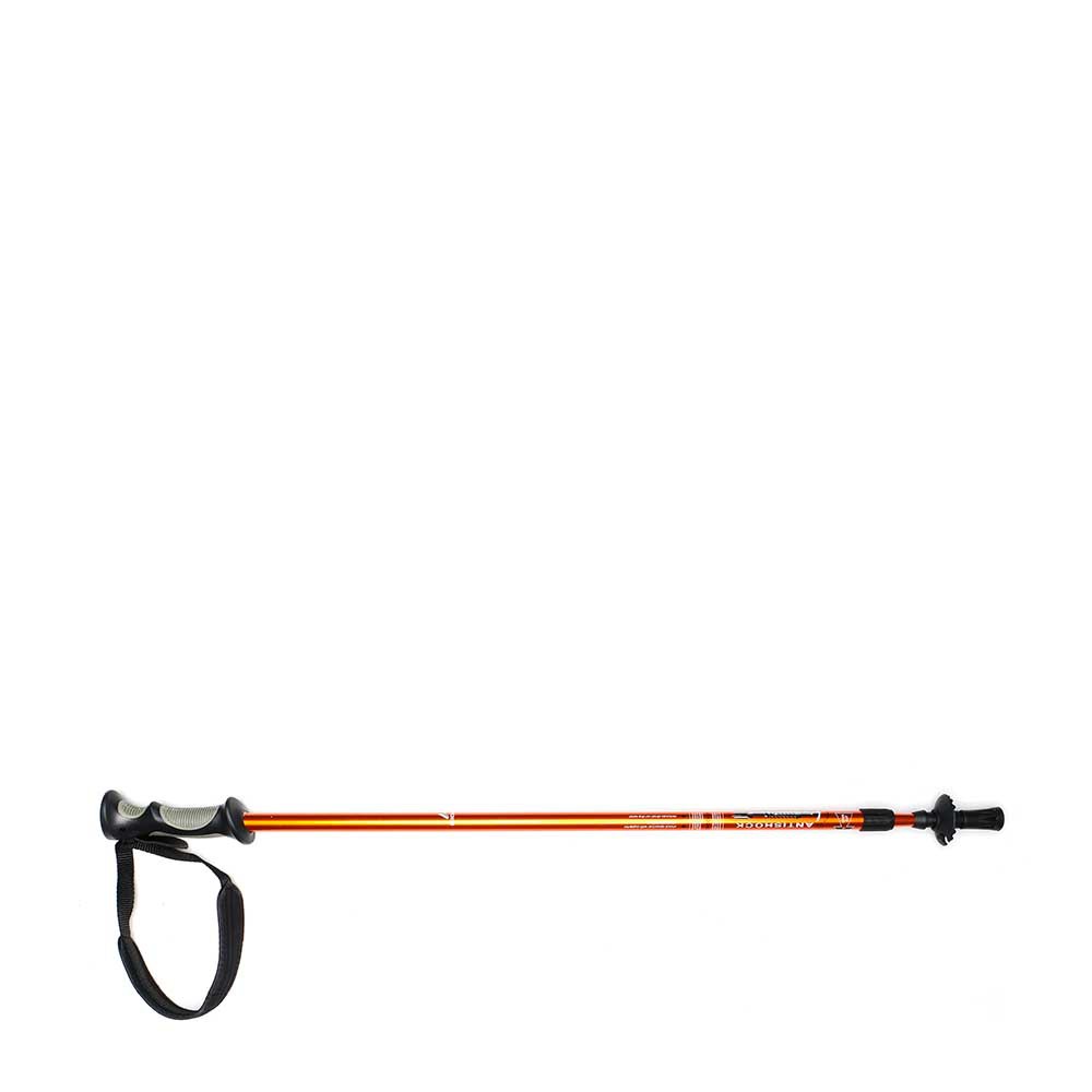 Eiger trekking hot sale pole