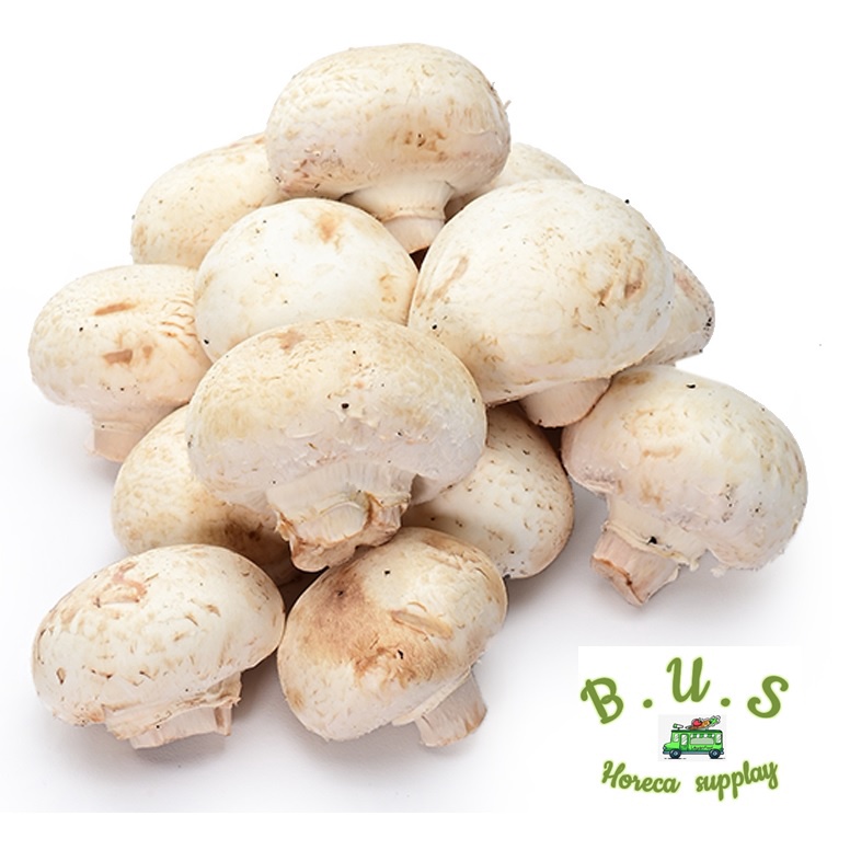 Sitemapcdatahttpsshopinf Inetcomoronge Champignon Prix Au Kilo