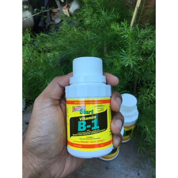 Jual Vitamin B1 Penumbuh Akar Tanaman Liquinox Tanaman 100ml Dan 500ml ...