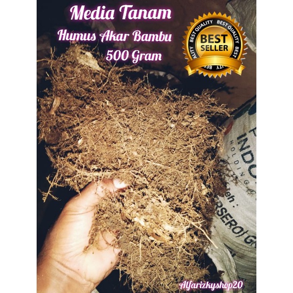 Jual Humus Akar Bambu 500 Gram Shopee Indonesia 