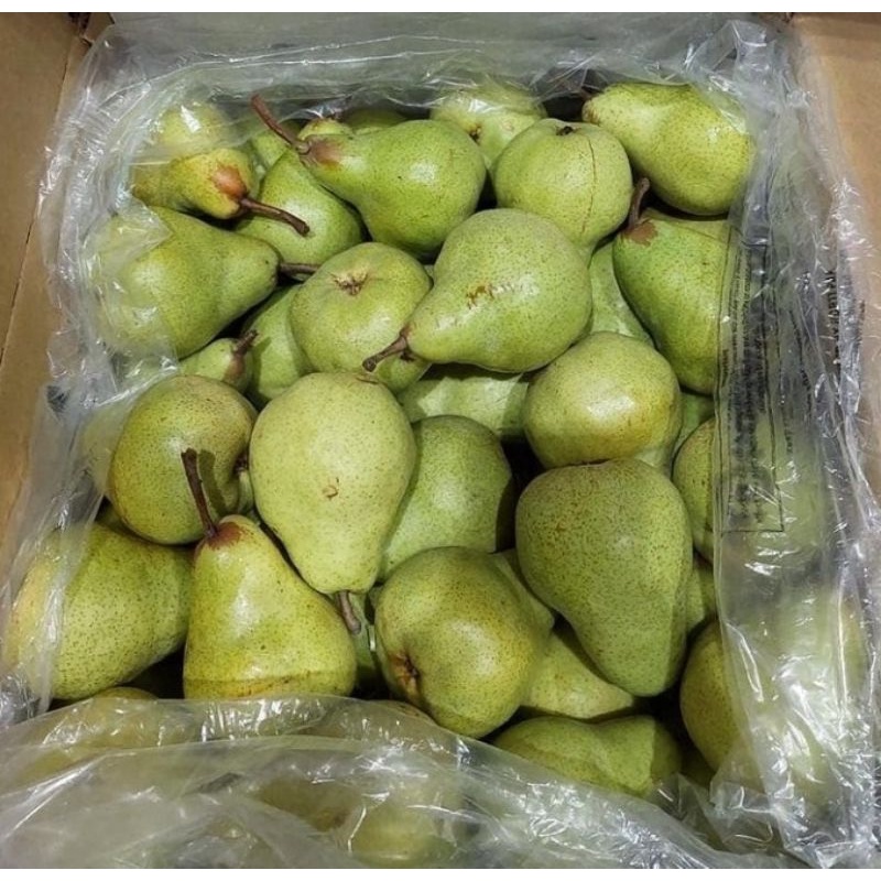 Jual Pear Packham 1kgbuah Pear Hijau Packham Fresh Shopee Indonesia 