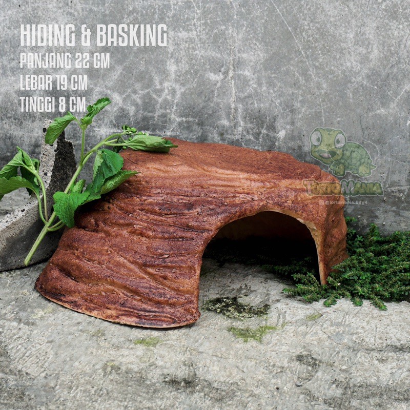 Jual Hiding Cave Basking Spot Rumah Rumahan Tortoise Kura Darat Photo Inspiration