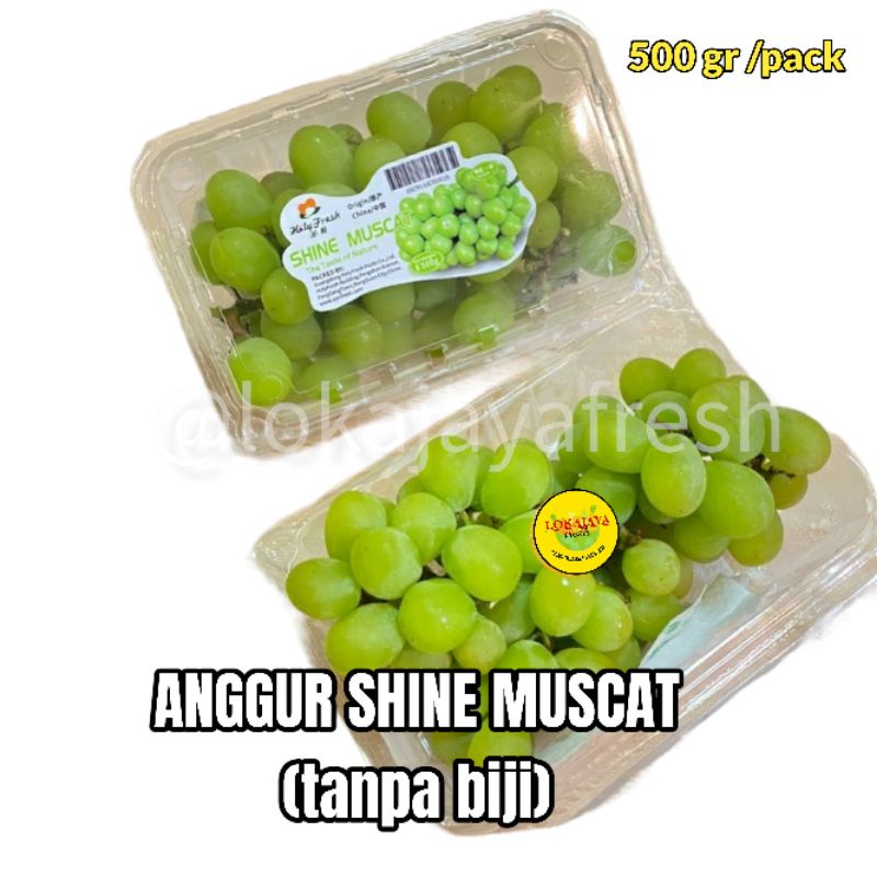 Jual Anggur Shine Muscat 500 Gram Seedless [Pengiriman Instant Dan ...