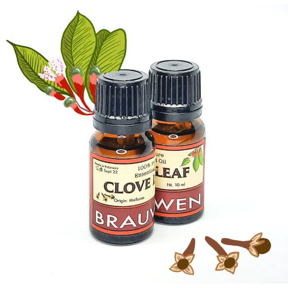 Jual CLOVE LEAF ESSENTIAL OIL-MINYAK DAUN CENGKEH MALUKU BRAUWEN (10ml ...