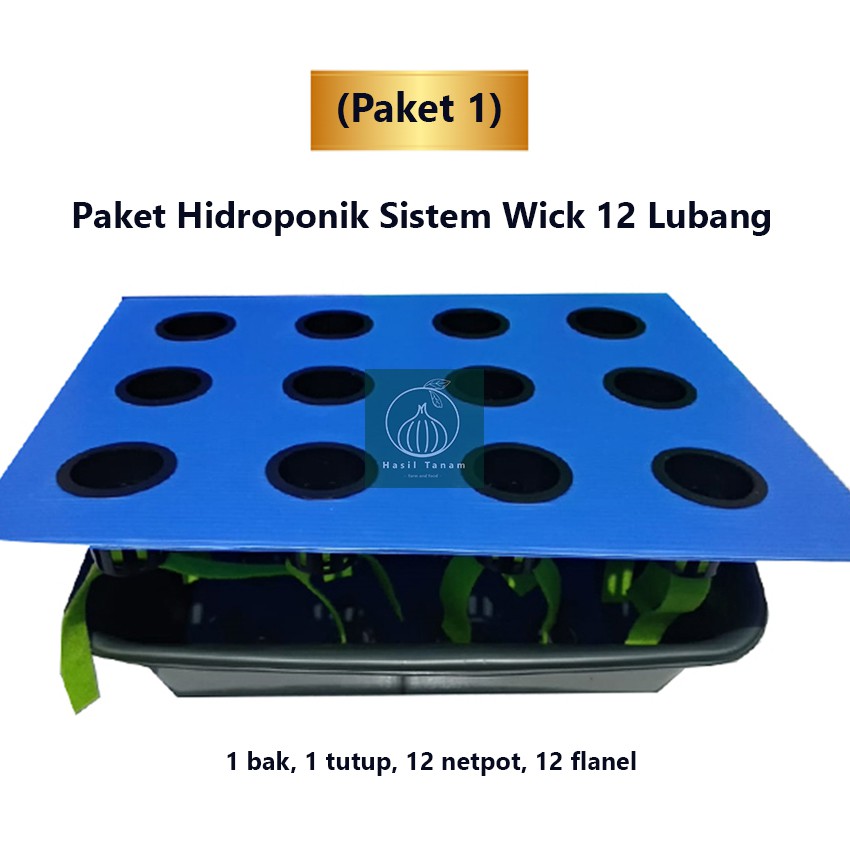 Jual Paket 1 Bak Hidroponik Sistem Wick 12 Lubang 1 Bak 1 Tutup 12