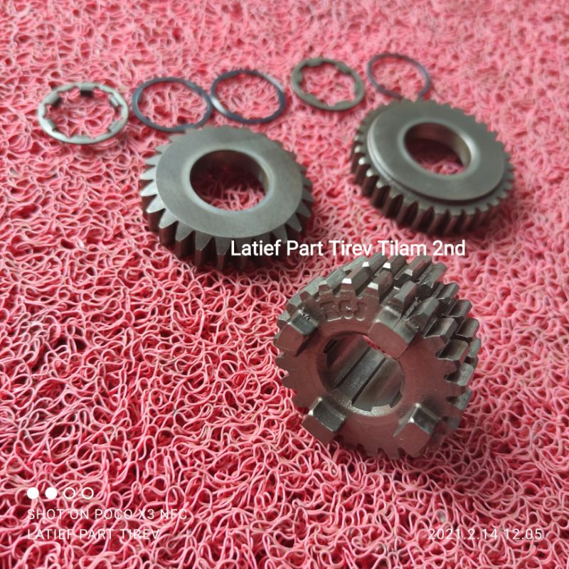 Jual Rasio Tiger gigi 3 4 | Shopee Indonesia